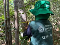 Estudo Técnico na Serra da Chapadinha