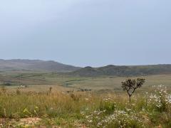 WhatsApp Image 2026-04-08 at 16.40.40.jpeg