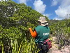 Estudo Técnico na Serra da Chapadinha