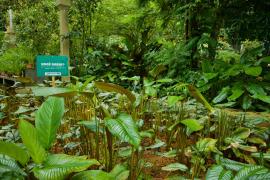 Jardim Ecológico - Zoo (13).jpeg