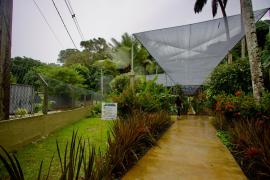 Jardim Ecológico - Zoo (9).jpeg