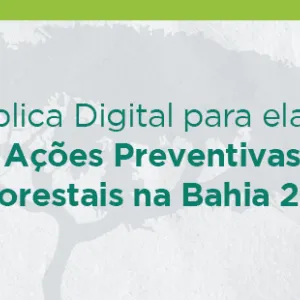 Aberta consulta pública digital para elaboração do Plano de Ações Preventivas aos Incêndios Florestais 2024