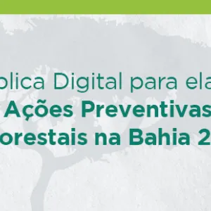 Aberta consulta pública digital para elaboração do Plano de Ações Preventivas aos Incêndios Florestais 2024