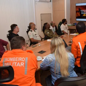 GT do Bahia Sem Fogo discute planos de ações para prevenção de incêndios florestais