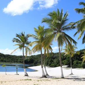 No dia Mundial da Água, Governo do Estado lança edital de requalificação do Parque do Abaeté