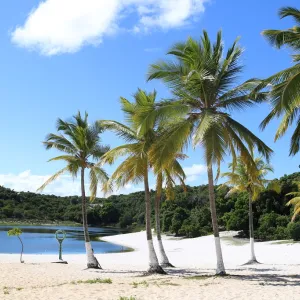 No dia Mundial da Água, Governo do Estado lança edital de requalificação do Parque do Abaeté