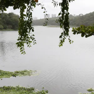 Dia Mundial da Água marca conquistas e desafios para a gestão de recursos hídricos na Bahia