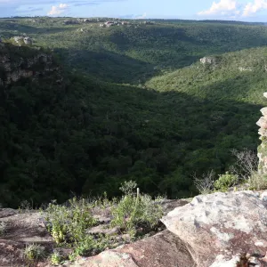 Ações de preservação ambiental são destacadas no Dia da Chapada Diamantina
