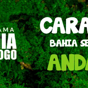 caravana bahia sem fogo2