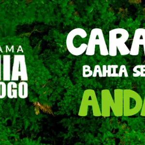 caravana bahia sem fogo2