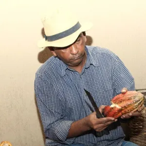 Secretaria do Meio Ambiente apoia iniciativa para promover sustentabilidade na região cacaueira