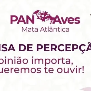 Governo da Bahia divulga pesquisa para elaboração de políticas públicas de conservação das aves da Mata Atlântica