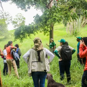 Restauração de Ecossistemas na Chapada Diamantina e Serra da Jibóia: desafios de campo e diagnóstico de áreas