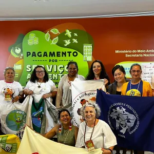Em brasília, Sema apresenta iniciativas relacionadas ao PSA na gestão baiana