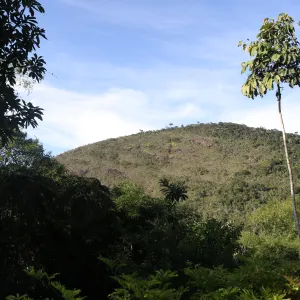 Governo da Bahia apresenta série de atividades para a semana do Meio Ambiente