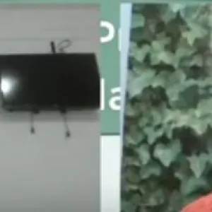 Educação Ambiental