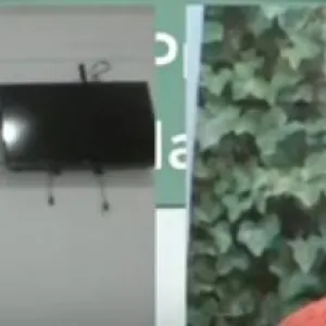 Educação Ambiental