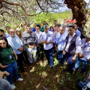 Ministra do Meio Ambiente e ONU conhecem soluções de convivência com a Caatinga durante visita à Bahia