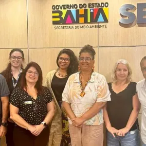 Poluentes Orgânicos