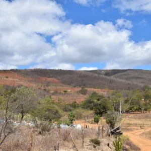 Governo da Bahia atua com iniciativas para fortalecer o combate à desertificação