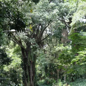gestão ambiental