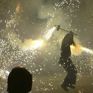 Sema e Inema alertam para os impactos dos fogos de artifícios na saúde de animais silvestres e domésticos