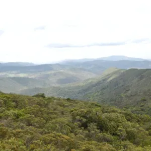 Parque Estadual das Sete Passagens sediará Dia de Campo da Caravana Bahia Sem Fogo