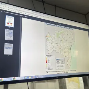 Monitor de Focos de Calor utilizado pelo Inema auxilia na prevenção aos incêndios florestais
