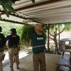 FPI em Guanambi encerra ações com entrega voluntária de 22 aves e resgate de araras em risco de extinção