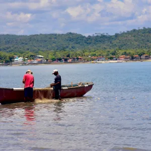 Celeiro de biodiversidade cultural e marinha, Baía de Todos-os-Santos completa 523 anos