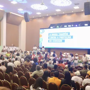 Bahia elege 60 representantes para a Conferência Nacional do Meio Ambiente