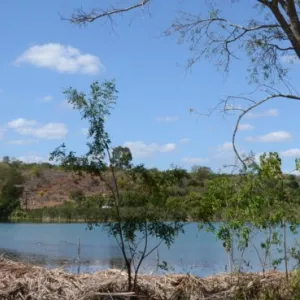 Bahia registra queda de 54% no desmatamento em 2024, aponta relatório do MapBiomas