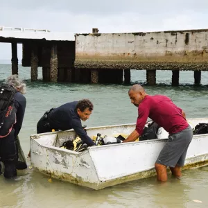 Cerca de 3 toneladas de coral invasor são removidas da Ilha de Itaparica 
