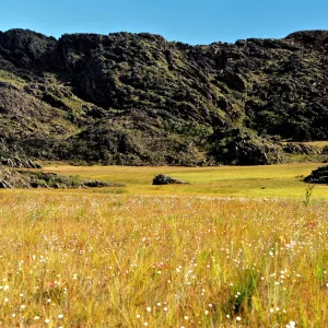 Chapada Diamantina sedia Semana da Mata Atlântica 2025 com ações em Mucugê e Lençóis