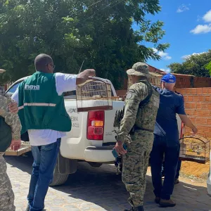 FPI combate tráfico de aves e promove ações educativas em Bom Jesus da Lapa