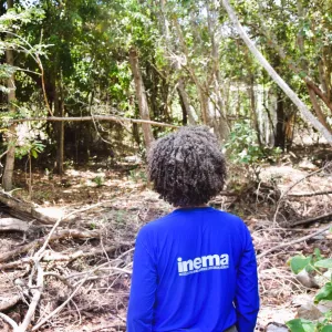 FORMAR abre inscrições para o Curso ‘‘Análise e Emissão de ASV: Fundamentação legal e técnica’’