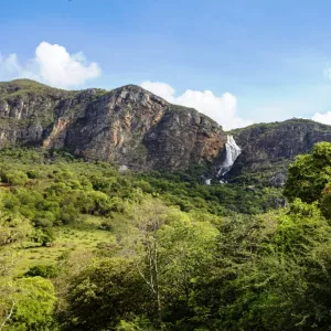 Dia Mundial da Conservação da Natureza: preservar é proteger o futuro