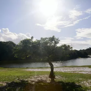 Parque do Abaeté