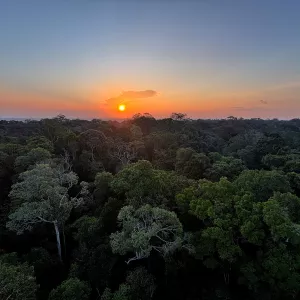 Preservar a Amazônia é proteger também a Bahia