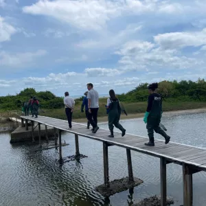 cooperação francesa em Itaparica, Bahia