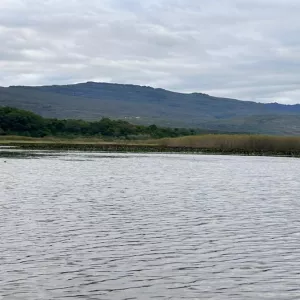  Pantanal