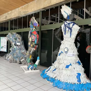 Exposição Zonas Úmidas