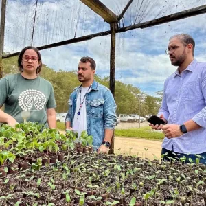 Sema visita viveiros no Extremo Sul para fortalecer política de recomposição florestal