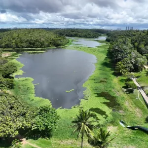Com entrega prevista para abril, obras de requalificação do Parque de Pituaçu chegam a 90% de execução