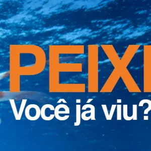 banner peixe-leão 