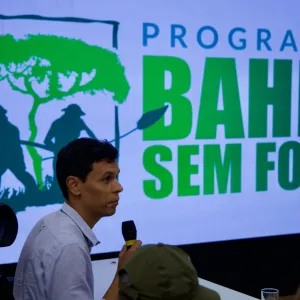 Bahia Sem Fogo