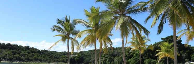 No dia Mundial da Água, Governo do Estado lança edital de requalificação do Parque do Abaeté