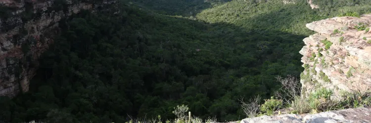 Ações de preservação ambiental são destacadas no Dia da Chapada Diamantina