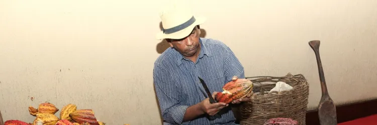 Secretaria do Meio Ambiente apoia iniciativa para promover sustentabilidade na região cacaueira