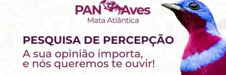 Governo da Bahia divulga pesquisa para elaboração de políticas públicas de conservação das aves da Mata Atlântica